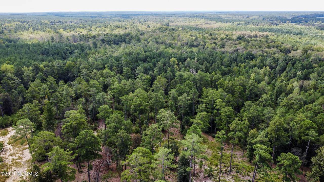 491 Grande Pines Vista - Photo 1