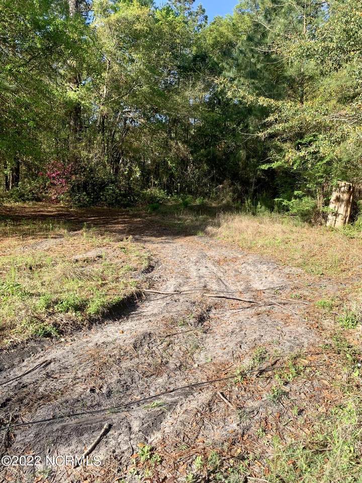 232.5 Peiffer Avenue - Photo 1