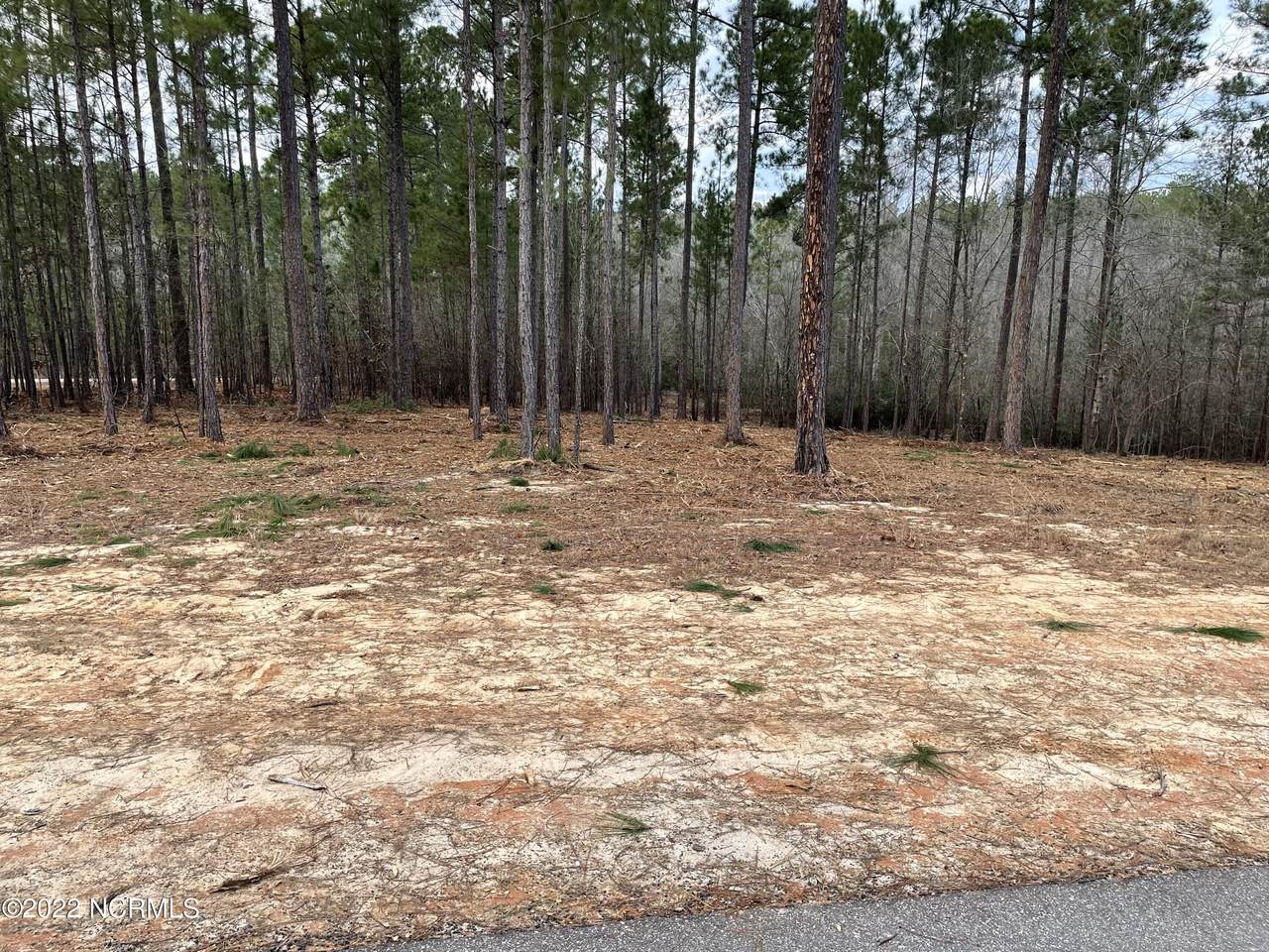 115 Vista Ridge - Photo 1