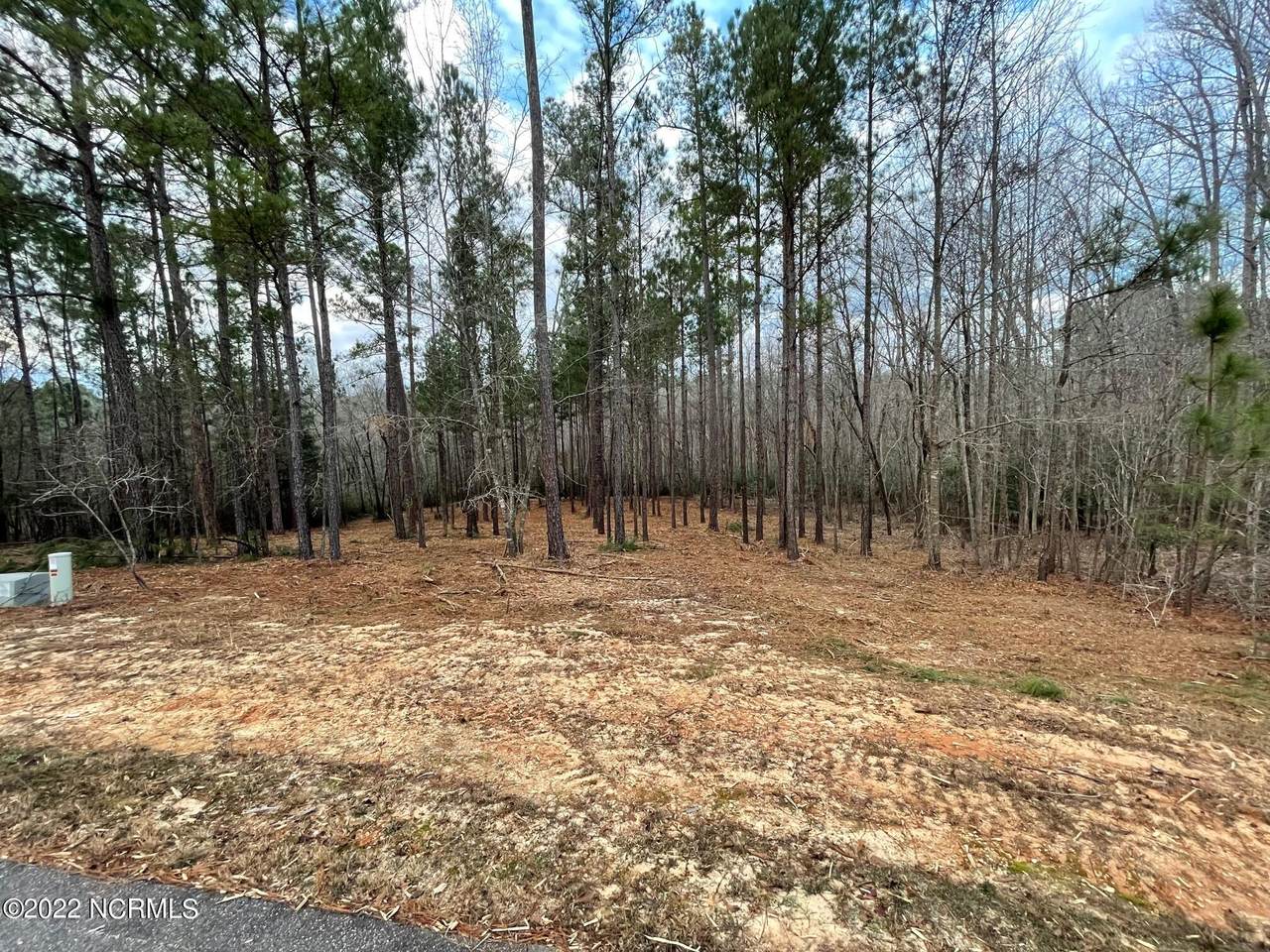 135 Vista Ridge Ridge - Photo 1