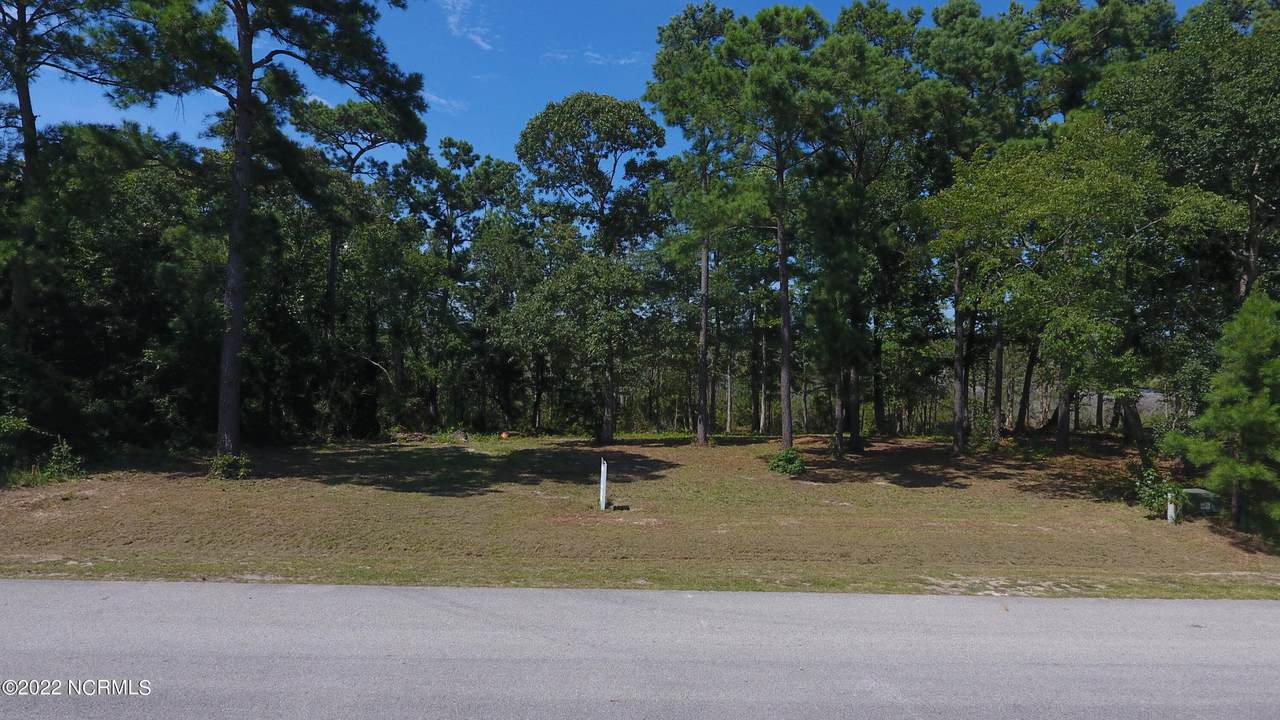 119 Kings Harbor Drive - Photo 1