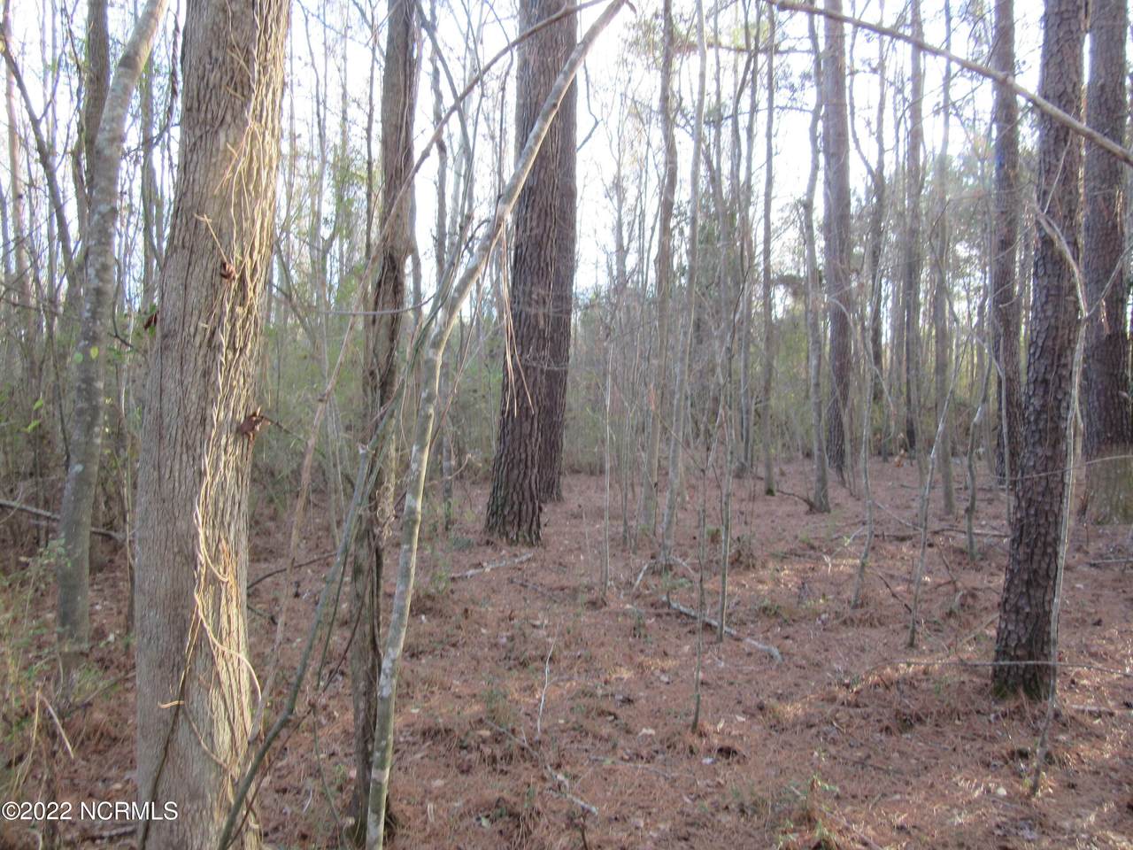 Near 417 Red Bug Road - Photo 1