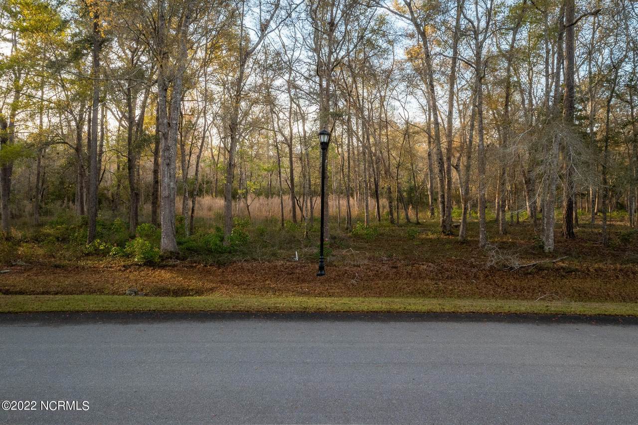 1876 Healing Water Lane - Photo 1