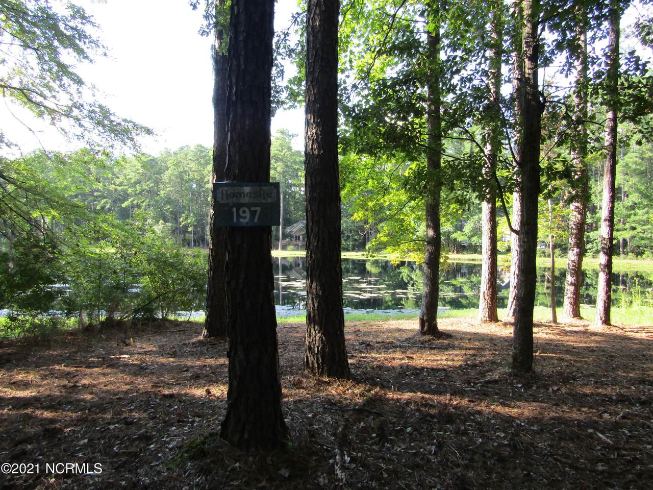 Lot 197 Lakeview Lane - Photo 1