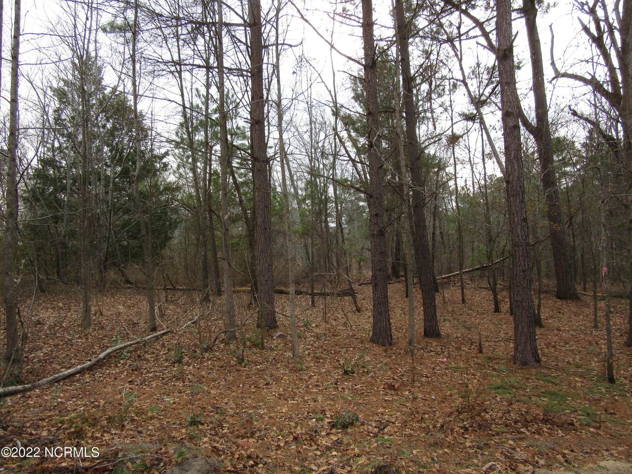 Lot 43& 44 Lakewood Drive - Photo 1