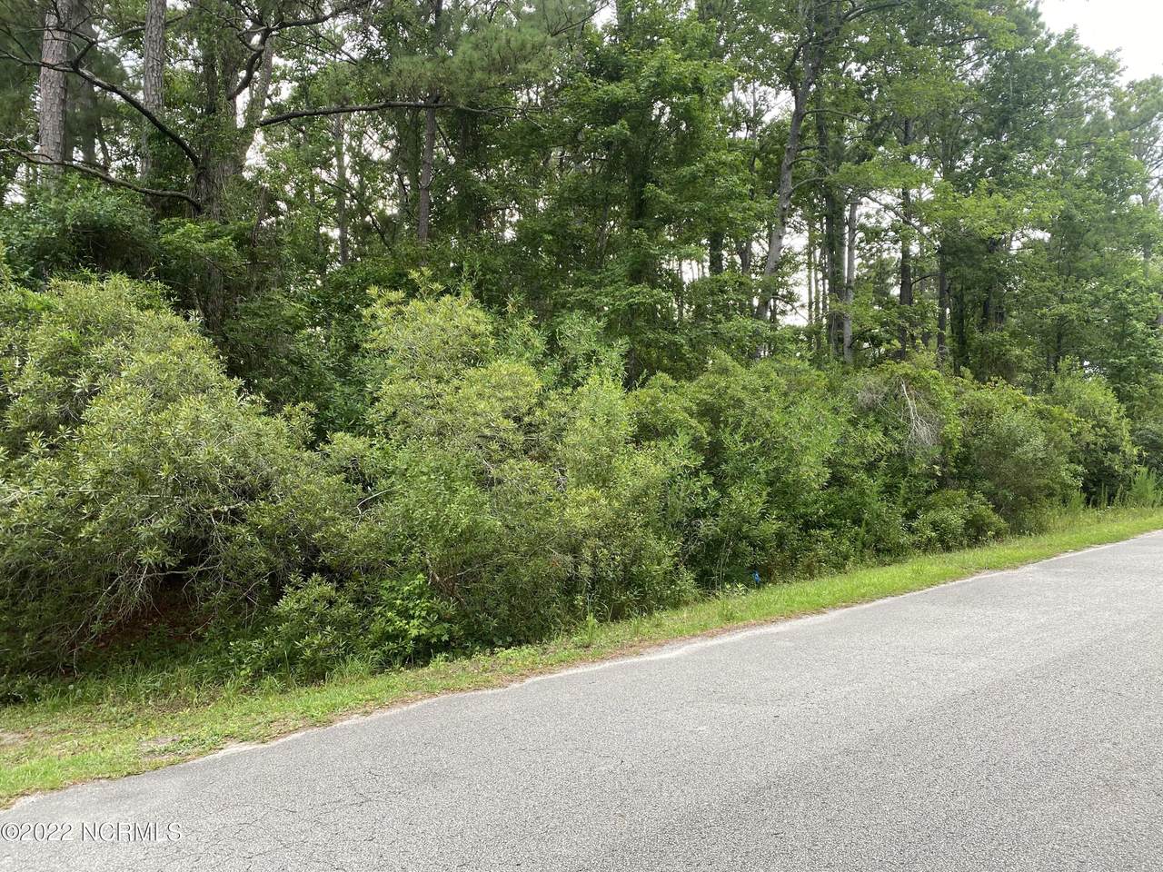 1524 Horse Branch Road - Photo 1