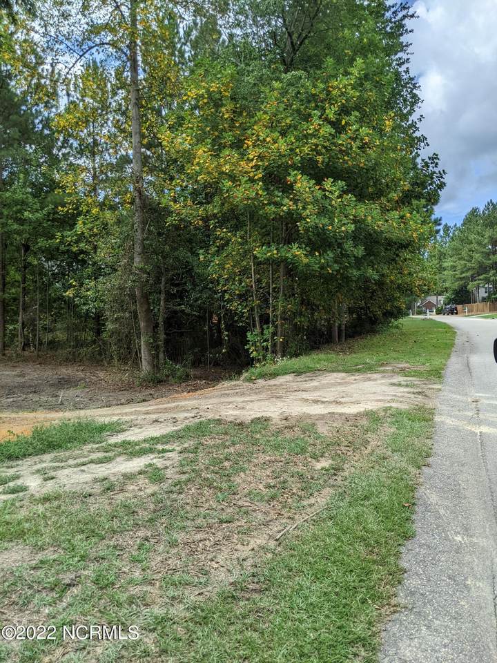 150 Magnolia Hill Drive - Photo 1