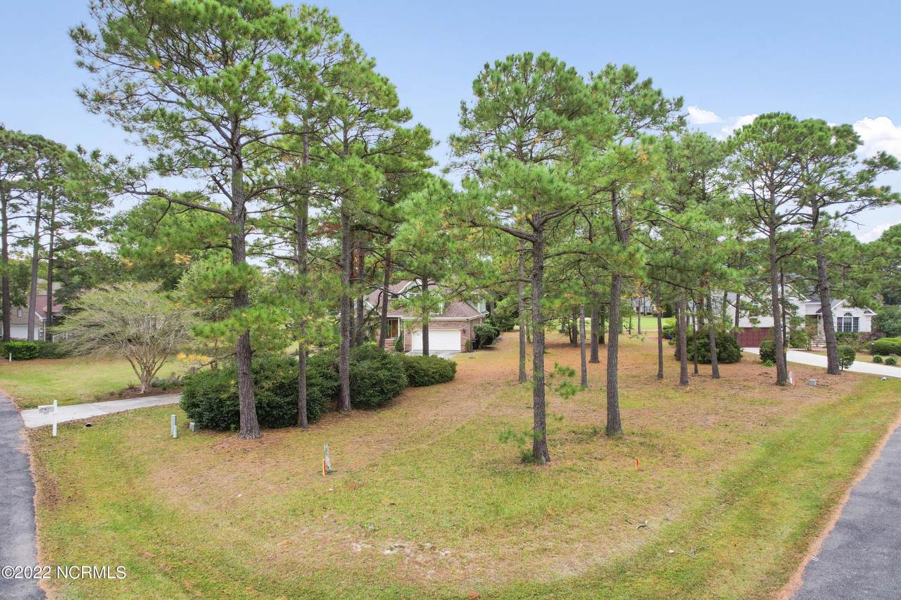 3205 Wild Azalea Way - Photo 1