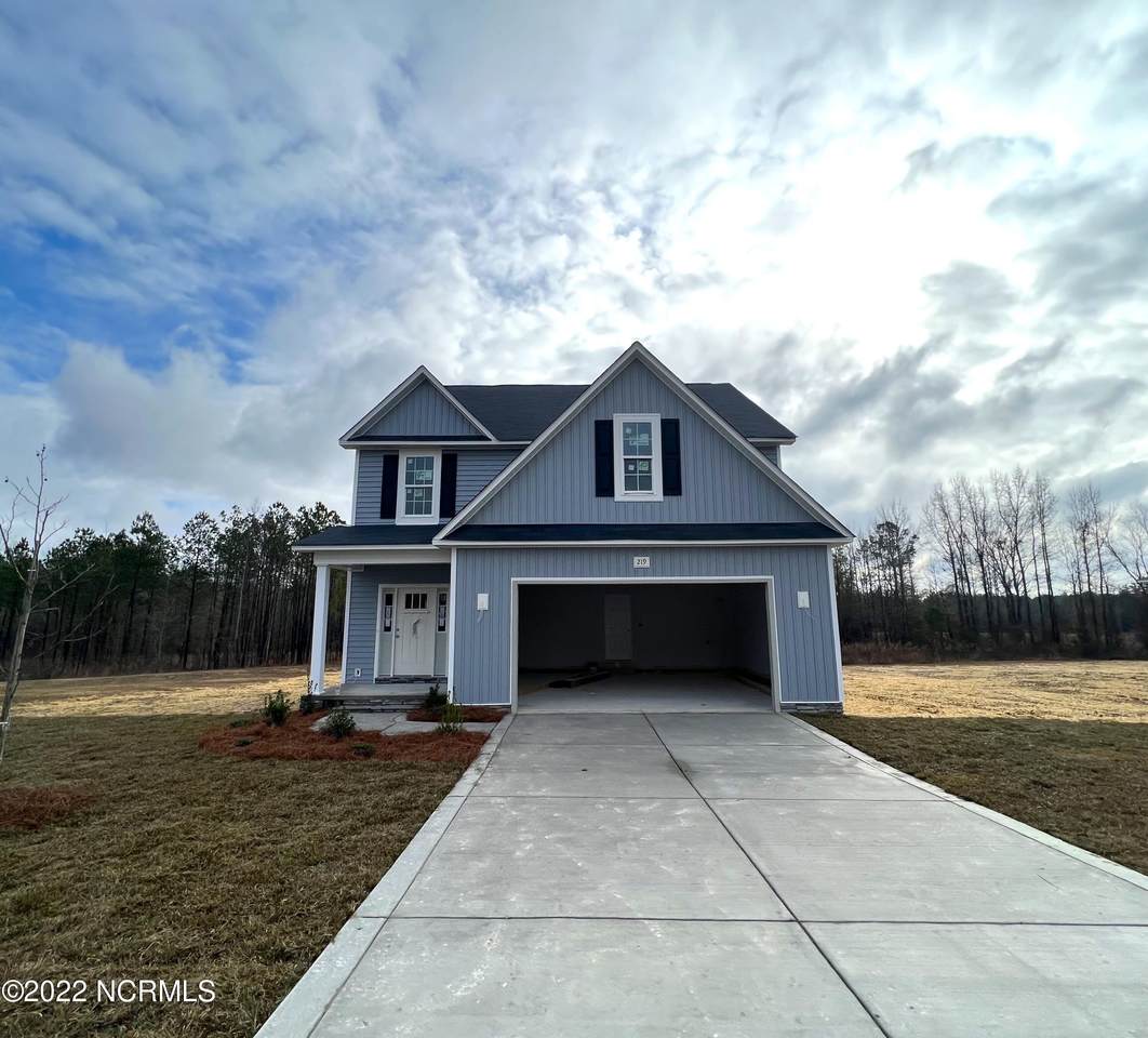 219 High Branch Drive - Photo 1