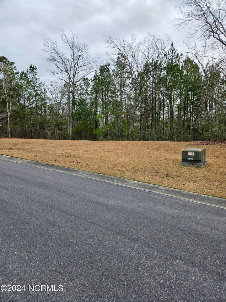 1131 Natal Drive - Photo 1