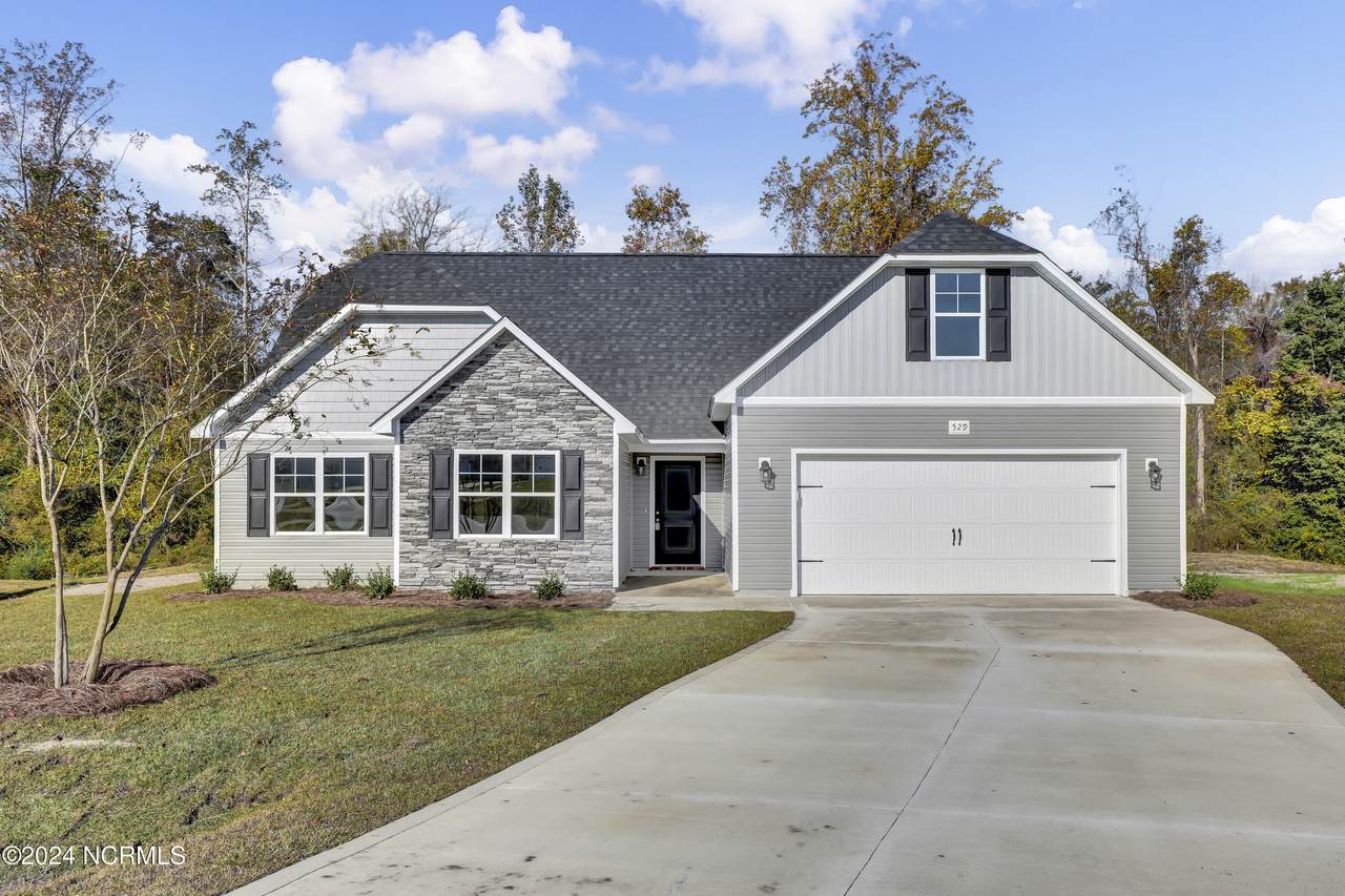 529 Isaac Branch Drive - Photo 1