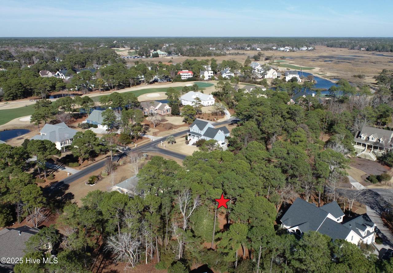 4513 Marsh Wood Court - Photo 1