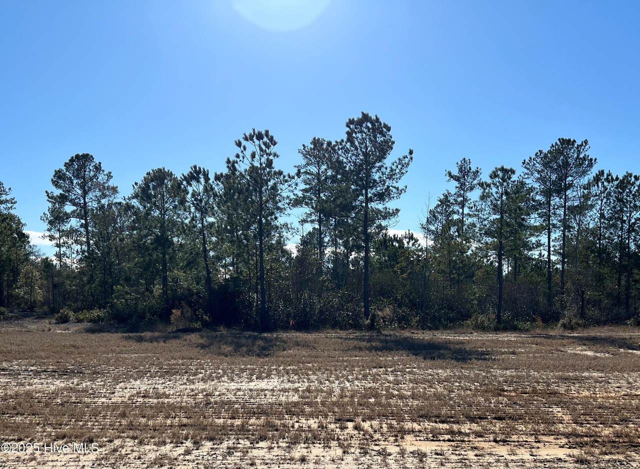 2940 Timber Crest Lane - Photo 1