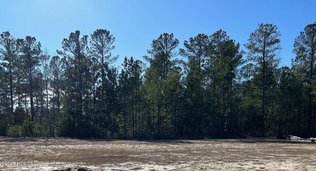 3038 Timber Crest Lane - Photo 1