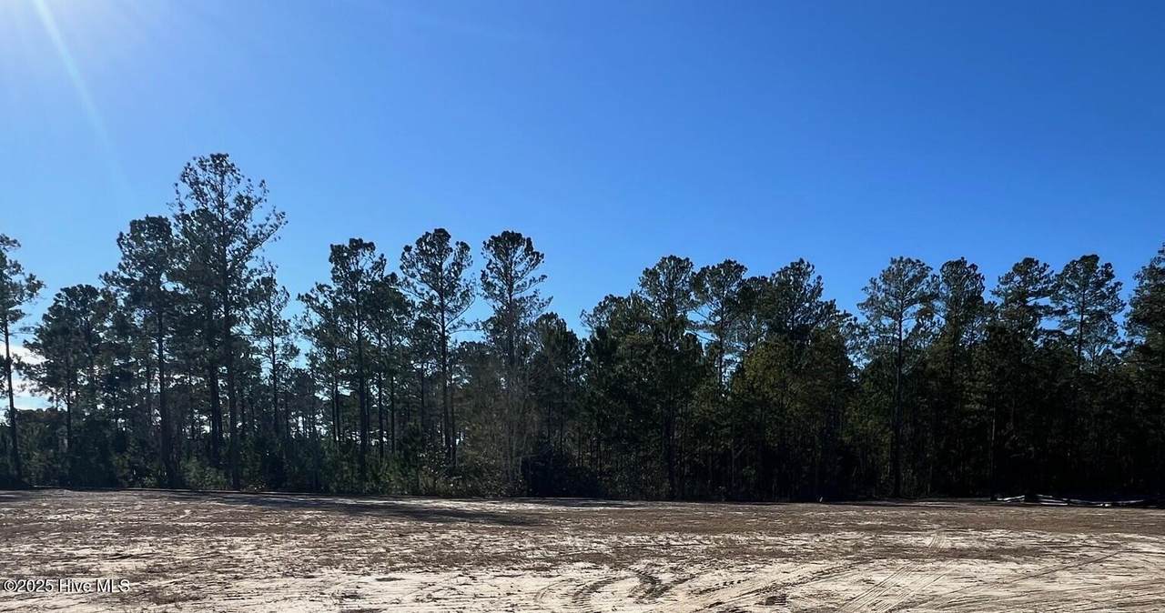 3042 Timber Crest Lane - Photo 1