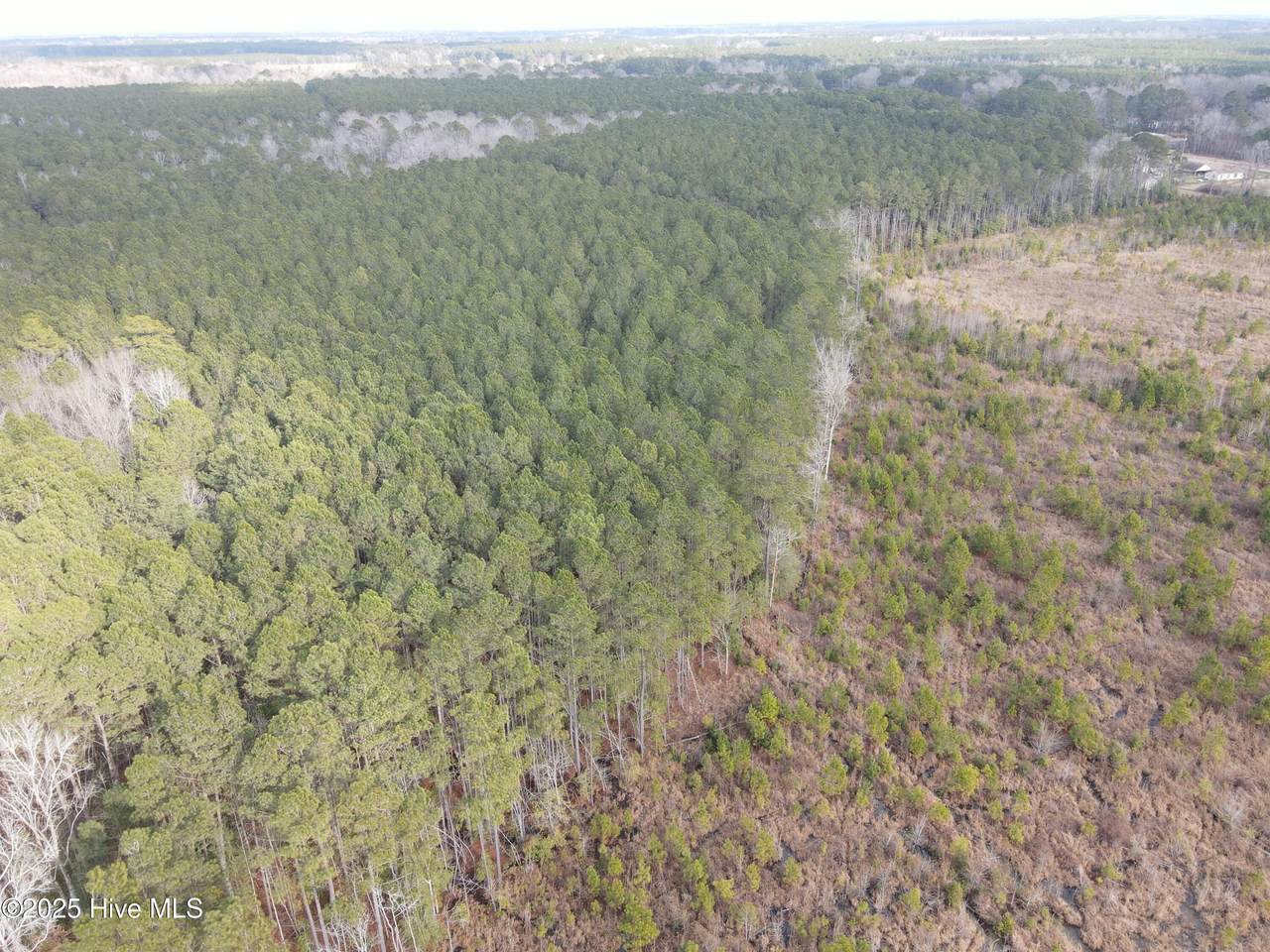 Tbd Highway 461 - Photo 1