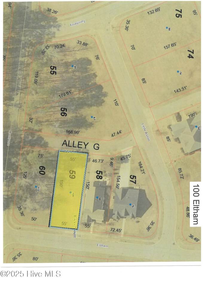 100 Eltham - Photo 1