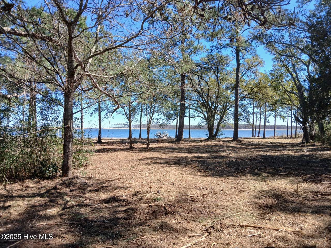 1 Live Oak Drive - Photo 1