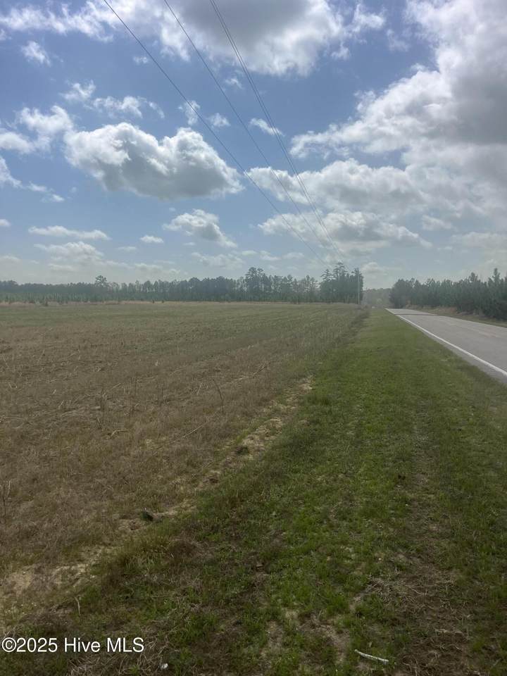 1711 Currie Mill Road - Photo 1