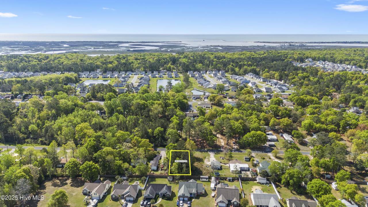 9202 Shady Forest Drive - Photo 1