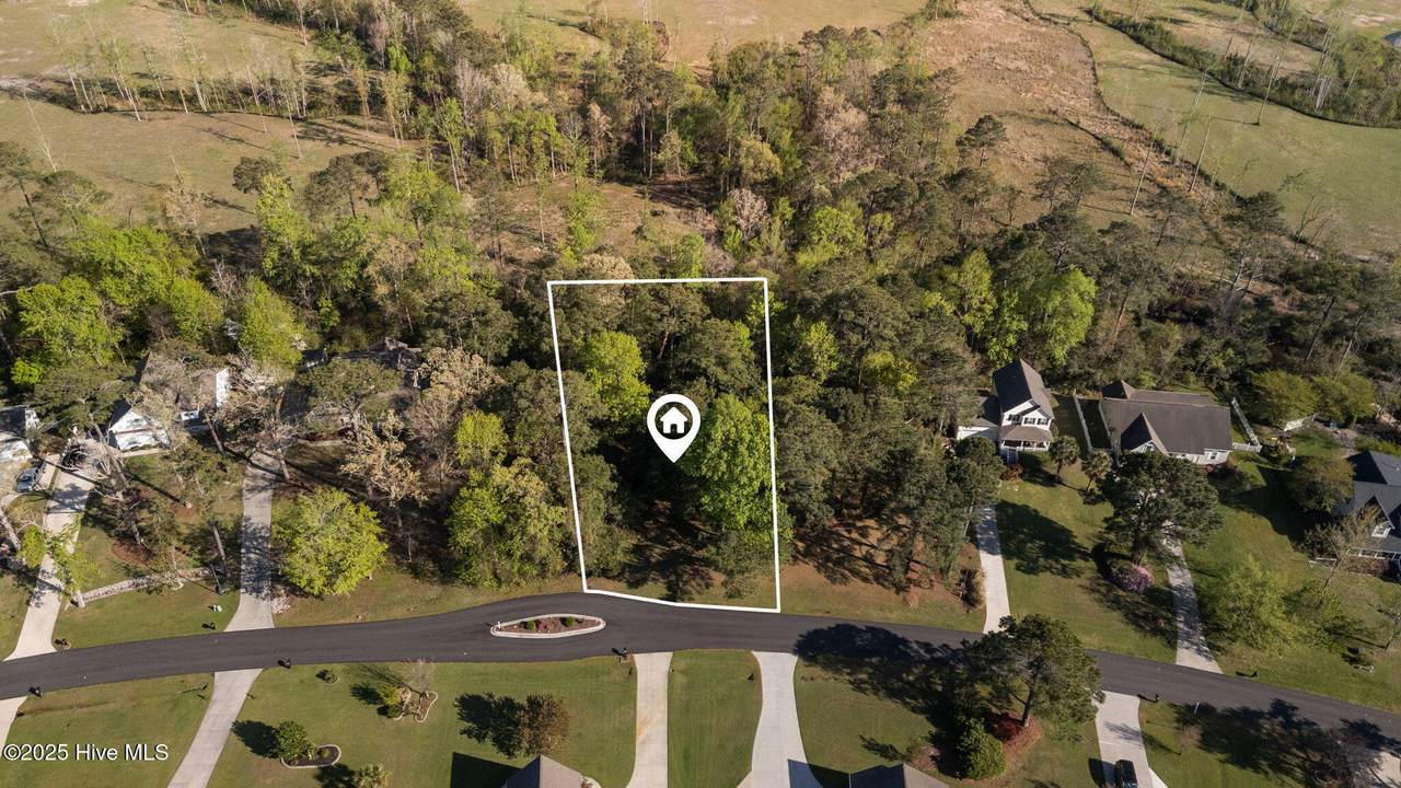 123 White Heron Lane - Photo 1