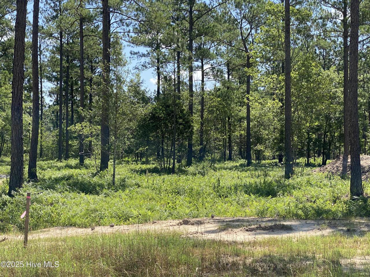 8750 Compass Pointe West Wynd - Photo 1