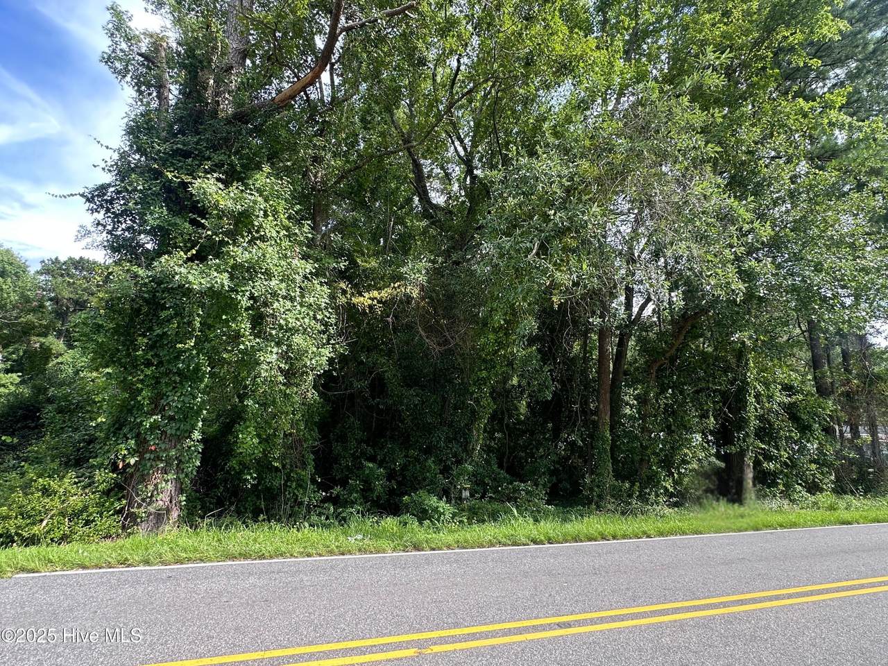 020425 Whitehall Road - Photo 1