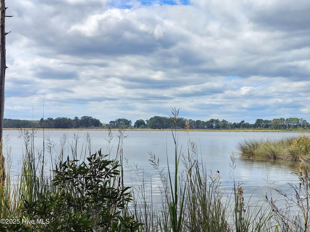 Lot 42 Winfield Lane - Photo 1