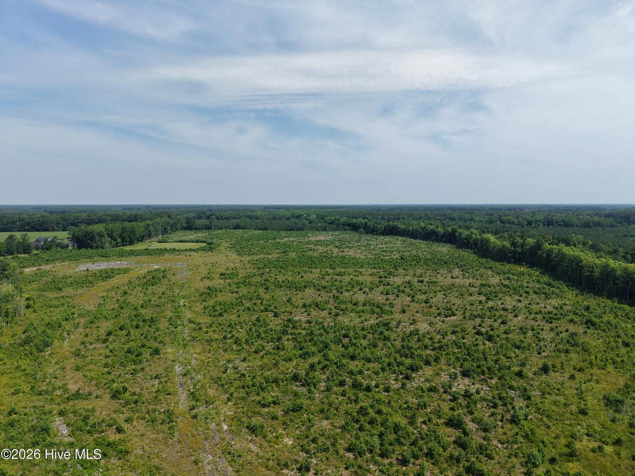 107ac Nc 32 N & Corapeake Road - Photo 1