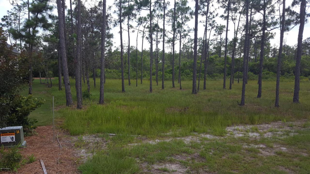 3101 Moss Hammock Wynd - Photo 1