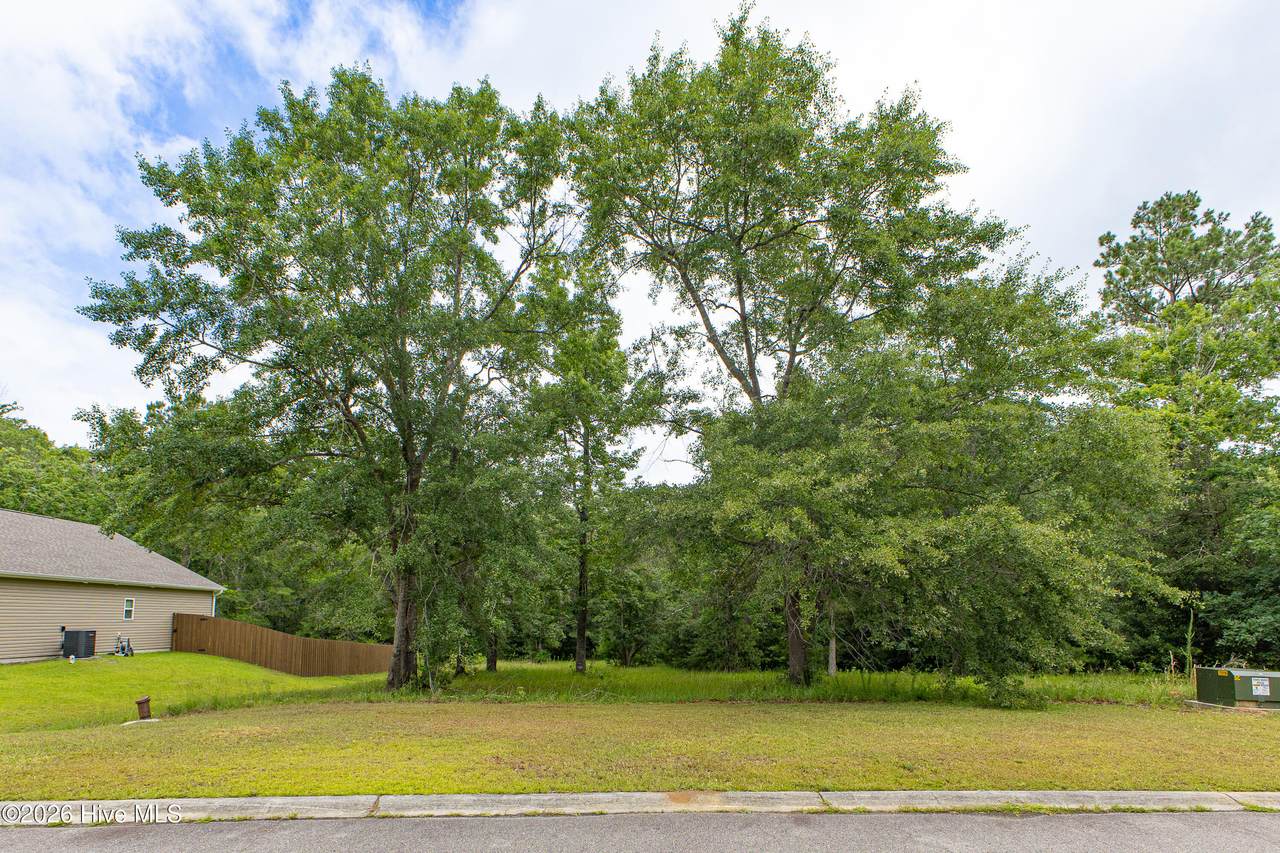 529 Wild Rice Drive - Photo 1