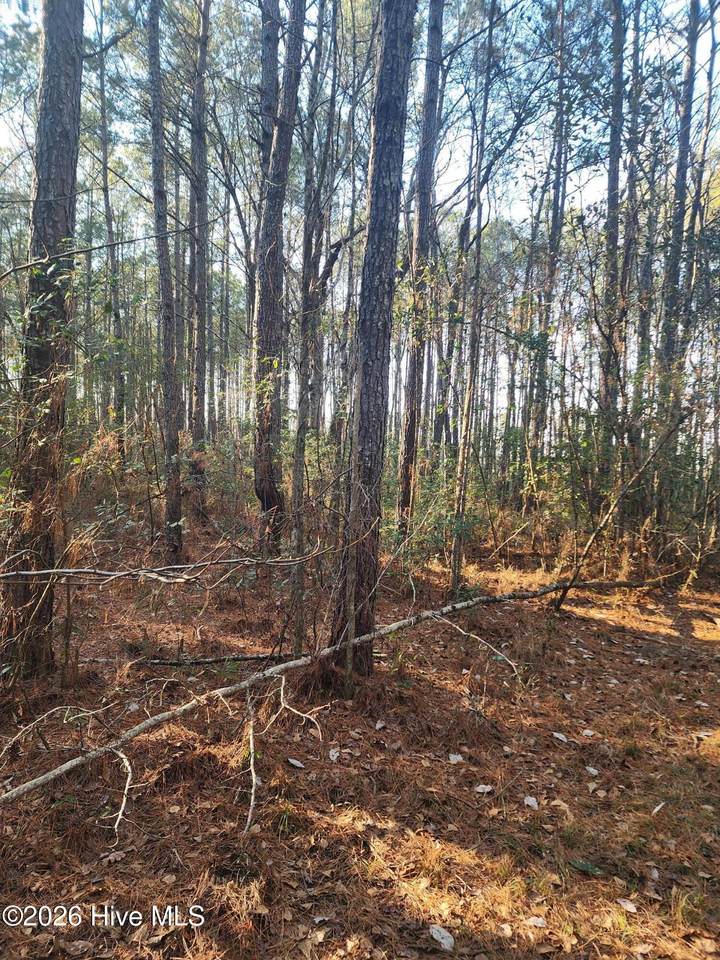 210 Highway Off - Photo 1