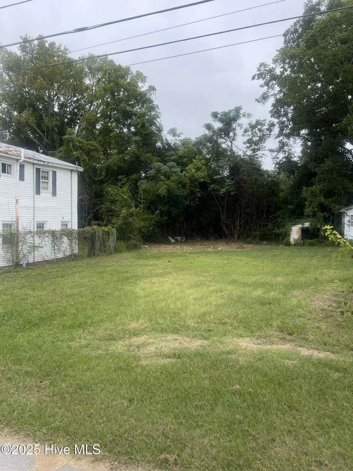 1006 Williams Street - Photo 1