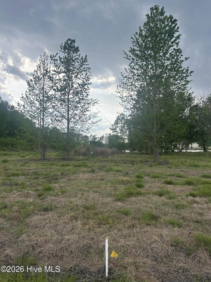 6 Crumpler Lake Lane - Photo 1