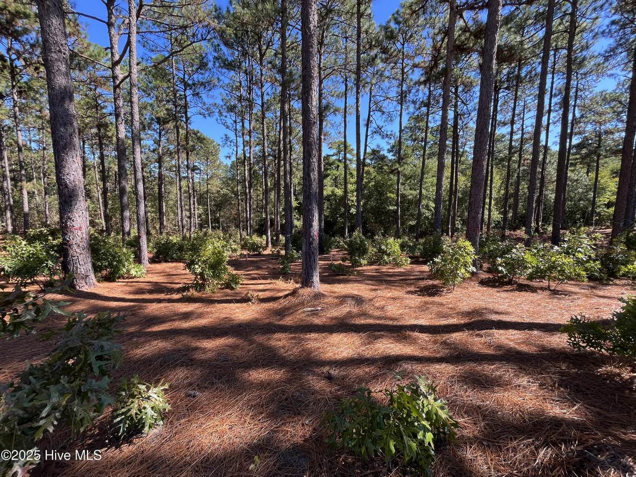 101 Haddington Drive - Photo 1