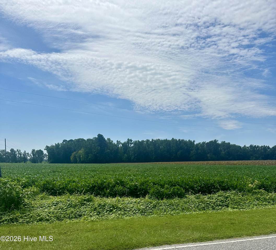 2645 Braswell Road - Photo 1