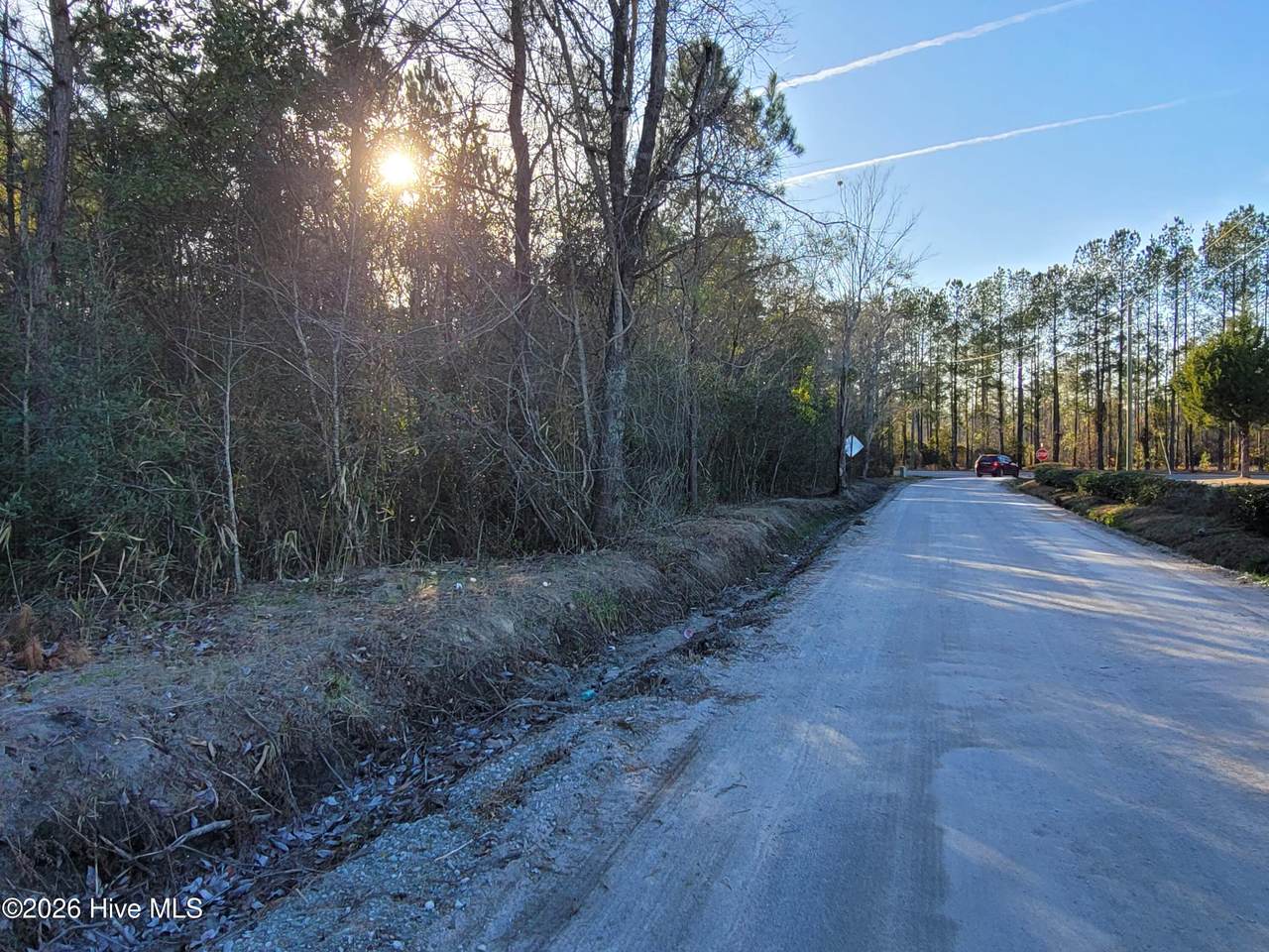 Tbd Lot 4 Auburn Drive - Photo 1