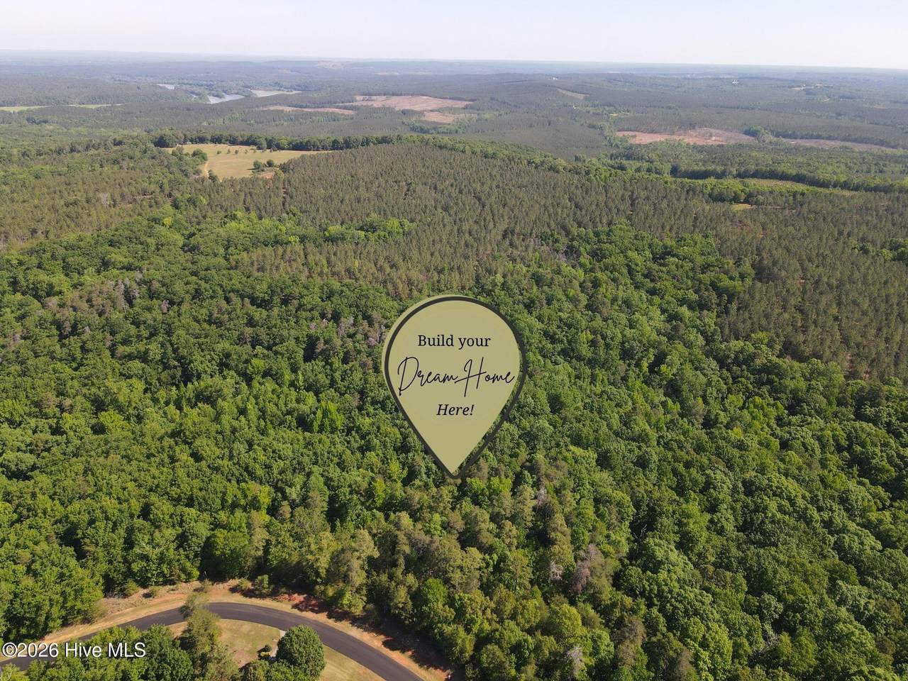 176 Lakeview Pass - Photo 1