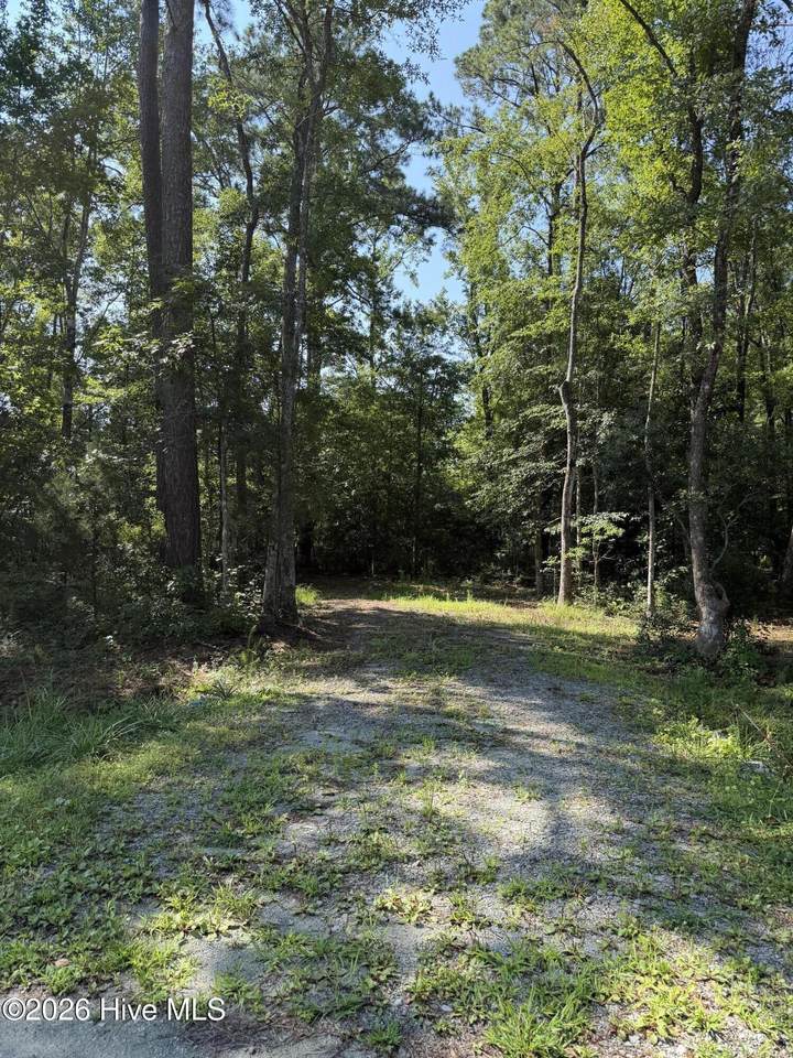 1421 Seafarer Drive - Photo 1