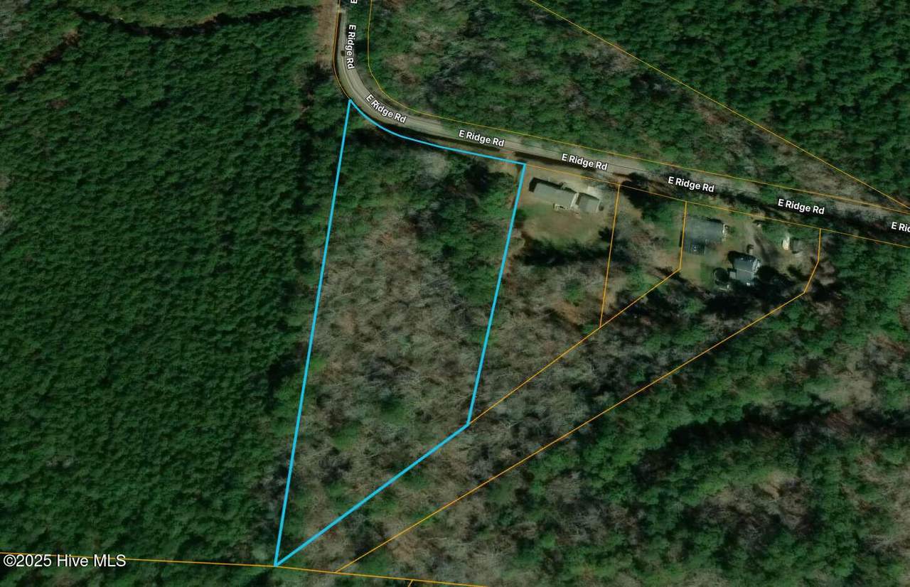216 Ridge Road - Photo 1