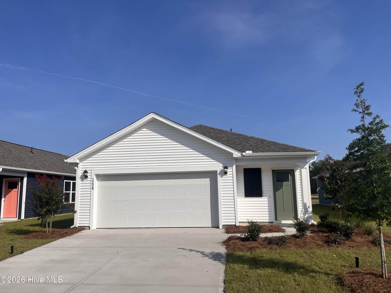 1238 Skystone Loop - Photo 1