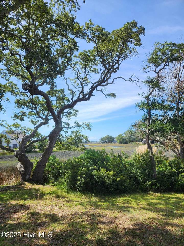 1913 Waterway Street - Photo 1