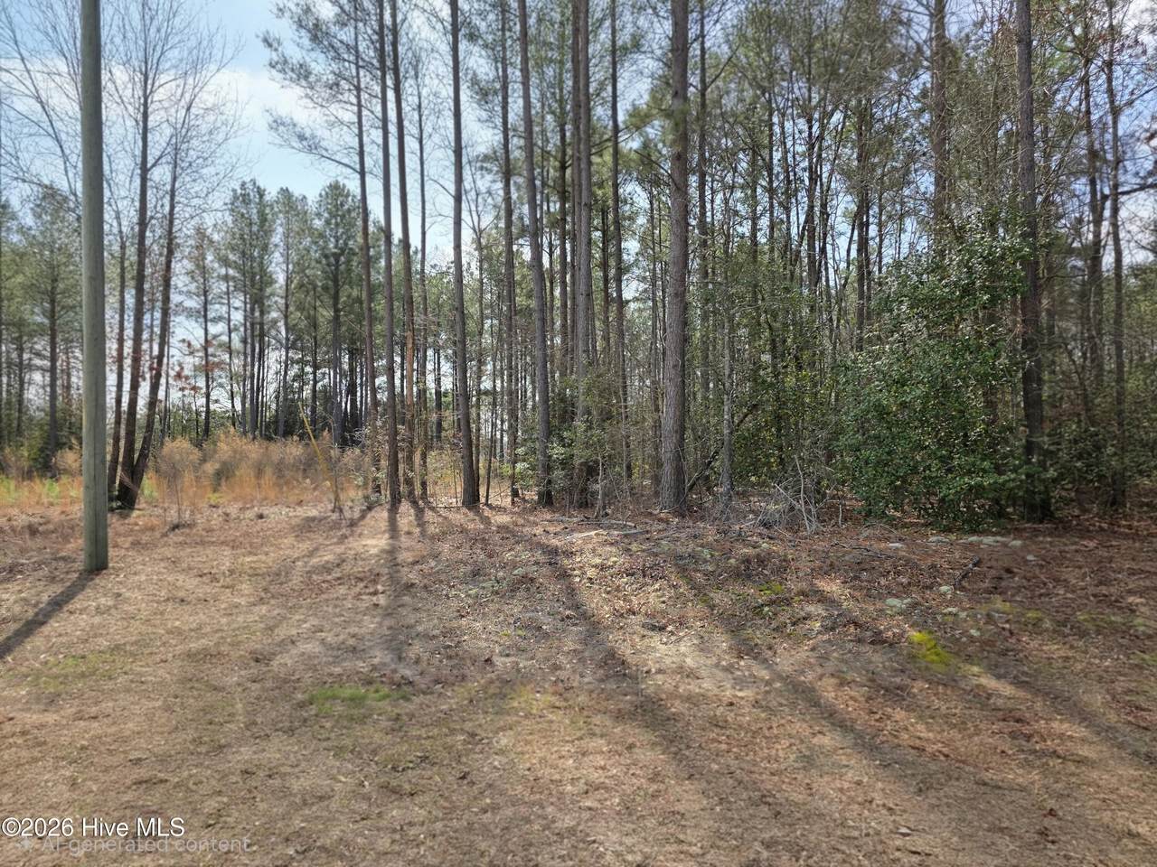 275 Raynor Sands Drive - Photo 1