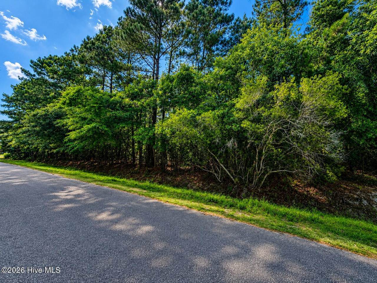 225 Pages Creek Drive - Photo 1