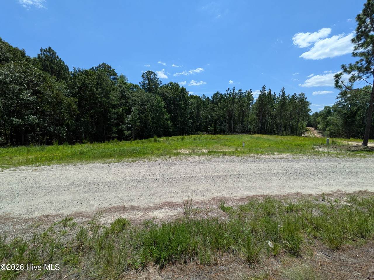 274 Charles Road - Photo 1