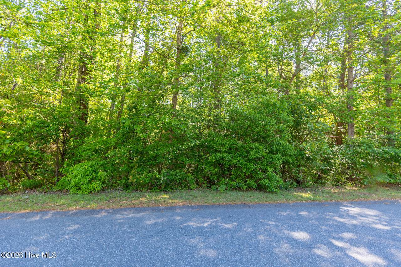 305 Kingswood Circle - Photo 1