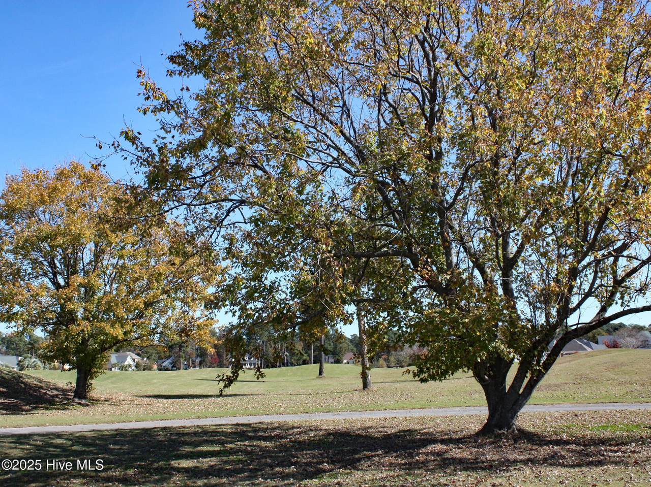 7000 Bloomsbury Court - Photo 1