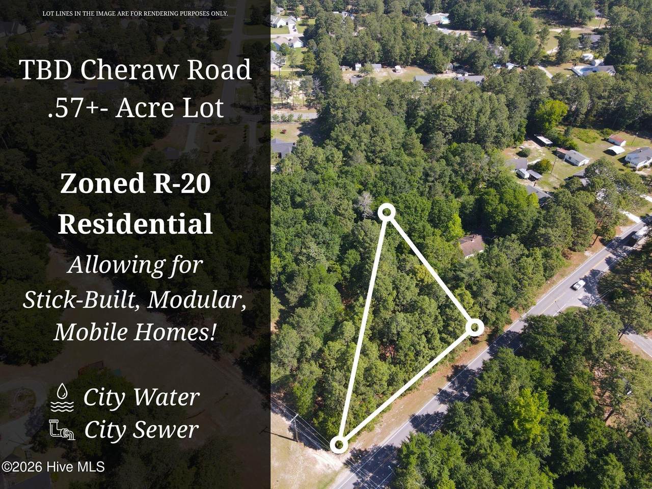 Tbd Cheraw Road - Photo 1
