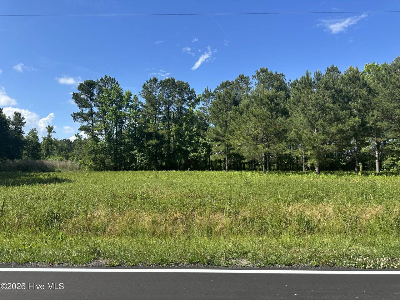 Near 594 Big Cypress Road - Photo 1