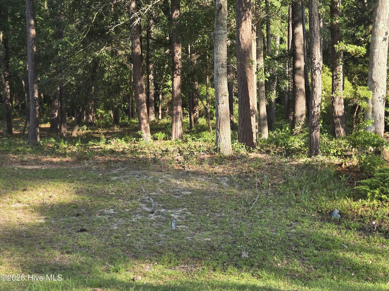 3840 Timber Stream Drive - Photo 1